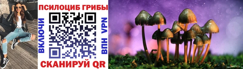 площадка наркотические препараты  Сергач  Псилоцибиновые грибы Psilocybine cubensis 